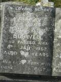 image of grave number 206838